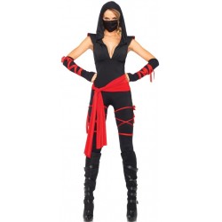 Stealth Ninja Adult Womens Costume