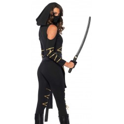 Dragon Ninja Womens Halloween Costume