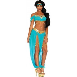 Oasis Harem Princess Costume