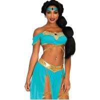 Oasis Harem Princess Costume