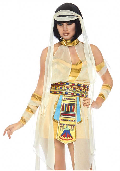 Nile Mummy Womens Adult Costume