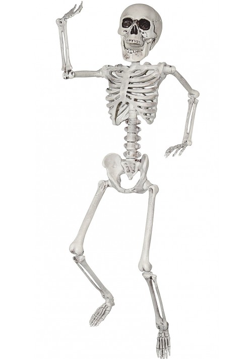 Skeleton 24" Indoor or Outdoor Decoration
