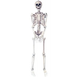 Skeleton Pose And Hold 5 Foot Decoration