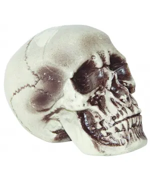 Human Skull Realistic Plastic Decoration