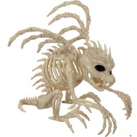 Gargoyle Skeleton 10 Inch Prop