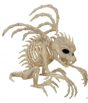 Gargoyle Skeleton 10 Inch Prop