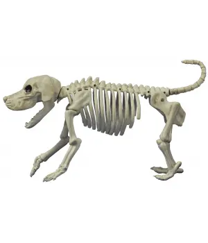 Beagle Bonez Dog Skeleton Decoration