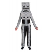 Minecraft Skeleton Video Game Costume - Kids Medium