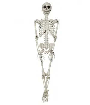Hanging Skeleton 36 Inch Halloween Decoration