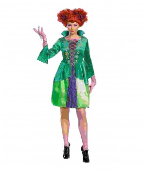 Winifred Sanderson Hocus Pocus Costume - Large