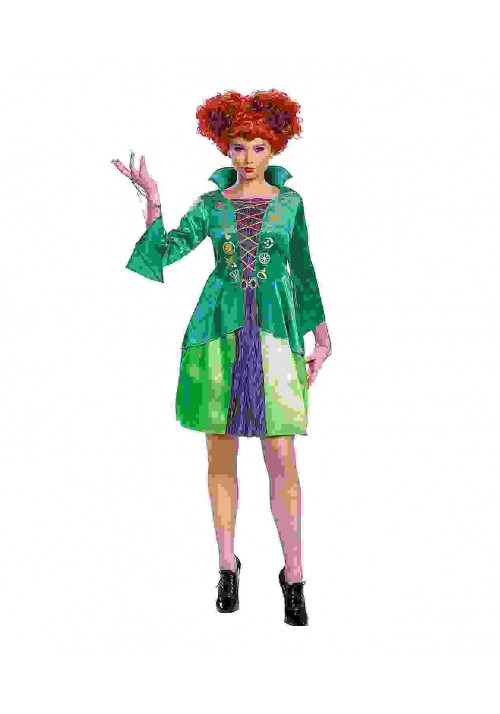 Winifred Sanderson Hocus Pocus Costume - Small