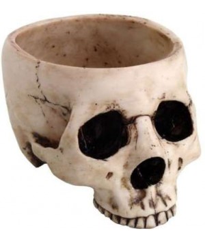 Skull Bowl in Resin
