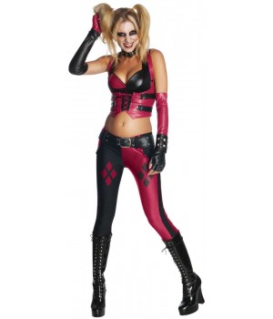 Arkham City Harley Quinn Womans Costume - Large